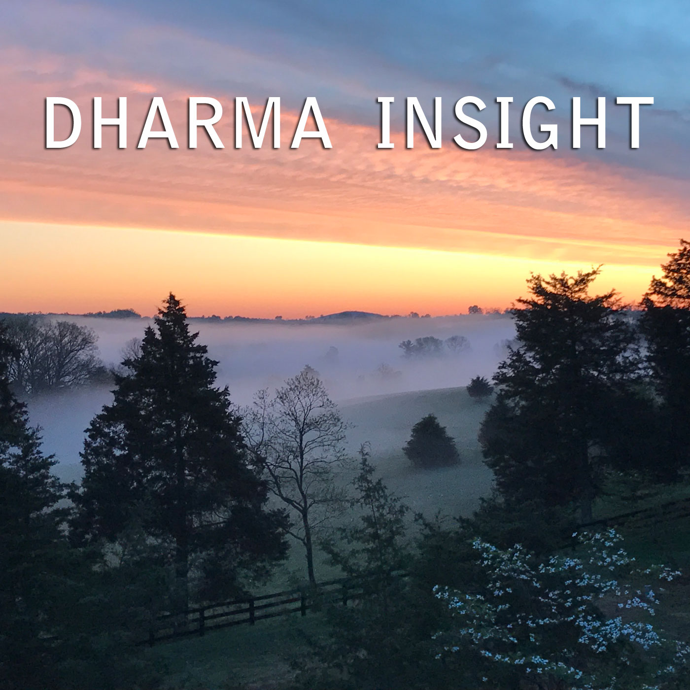 Audio Dharma Insight Meditation Podcast